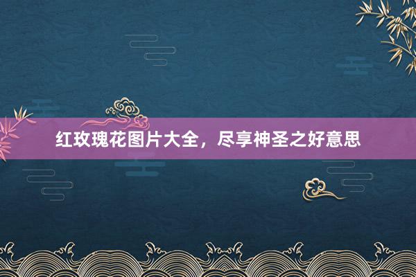 红玫瑰花图片大全，尽享神圣之好意思