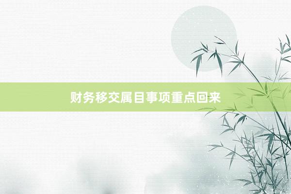 财务移交属目事项重点回来